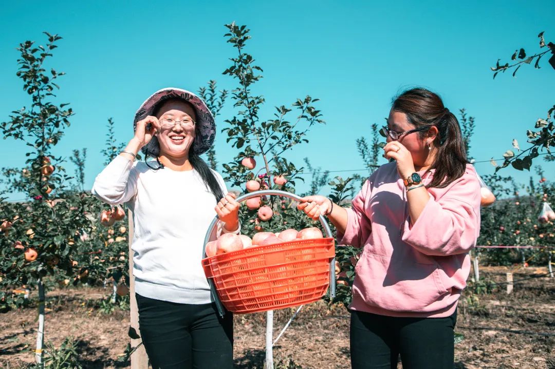 深秋等你到来,深秋等你来