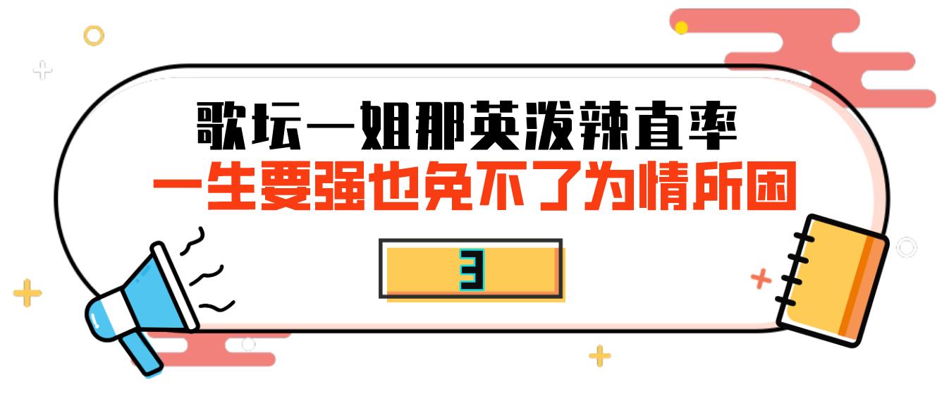 那英怒踹粉丝,那英当众踹粉丝惹争议