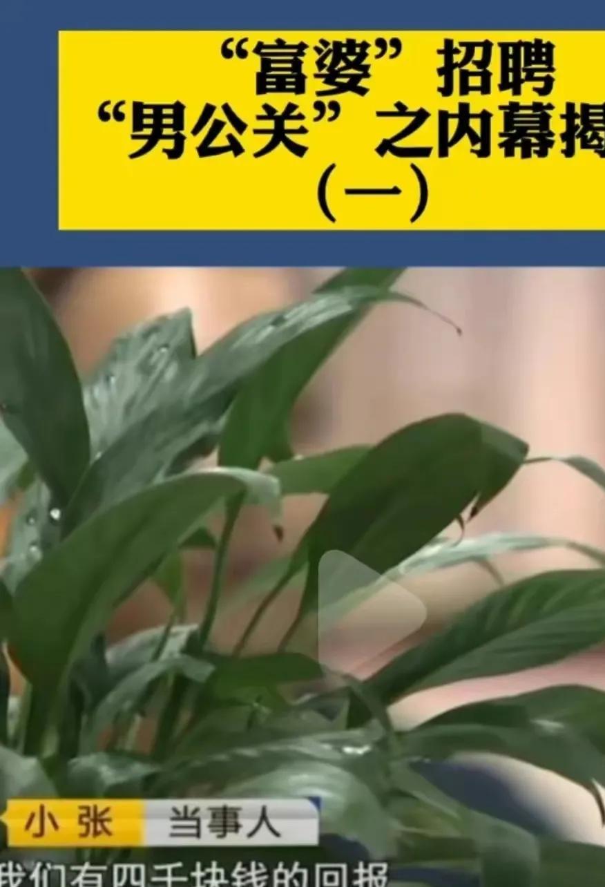 富婆应聘男公关骗局,富婆招男公关后续