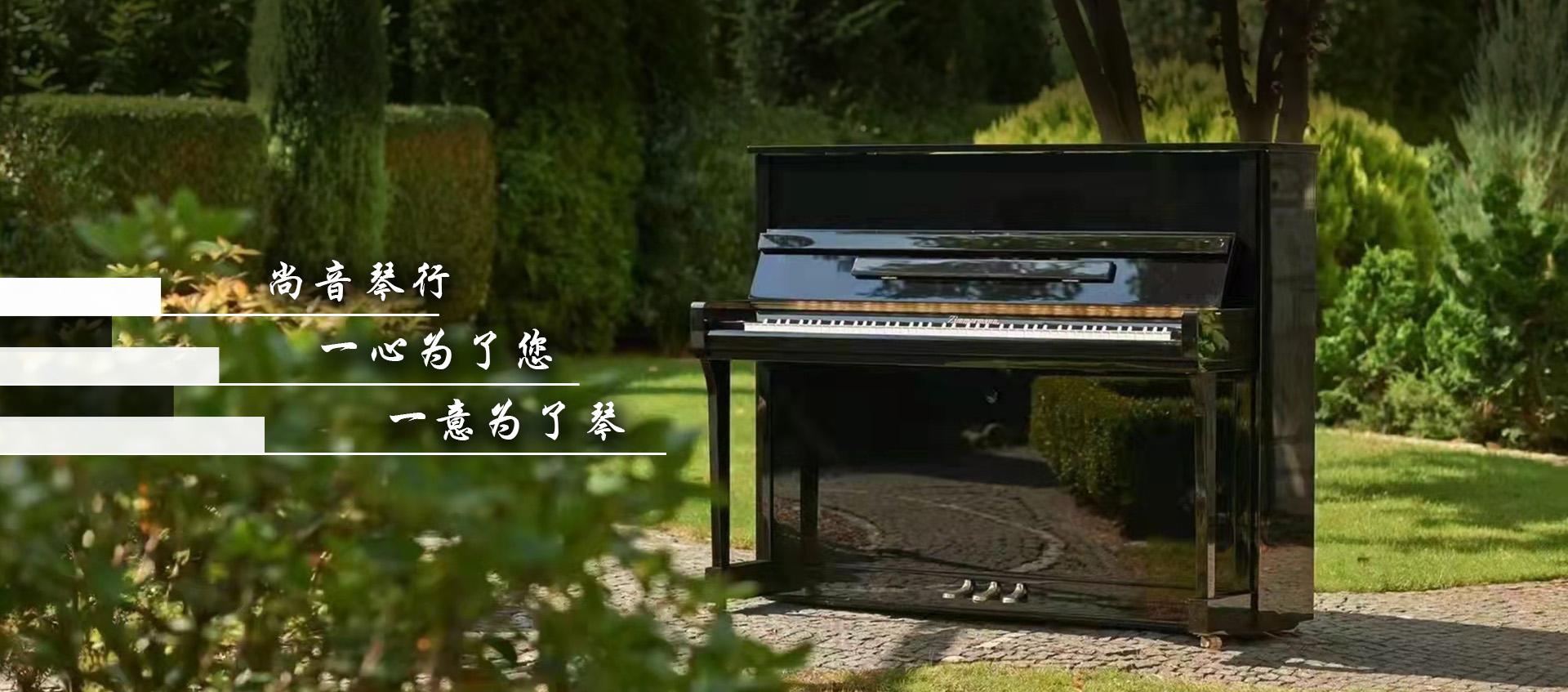 天津原装进口钢琴哪家好?天津进口琴购买地