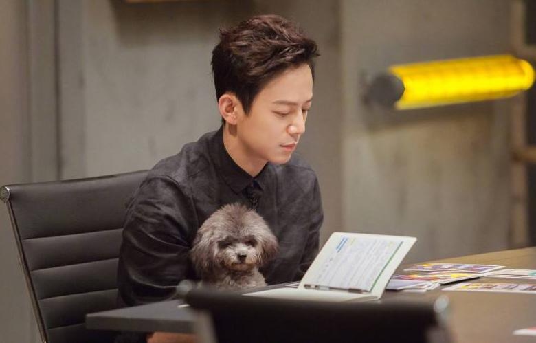 何炅和王菁现在哪里,何炅与王菁现状