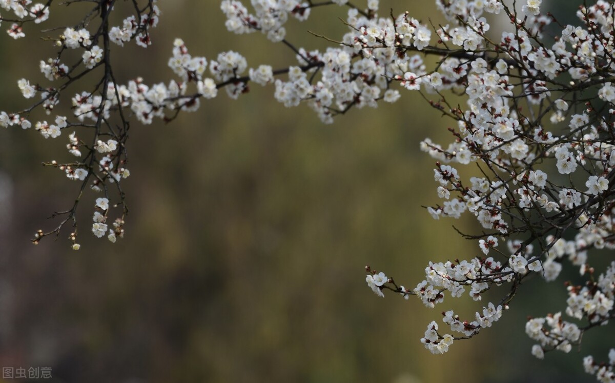 张仲景古方治抑郁症,抑郁症名医名方