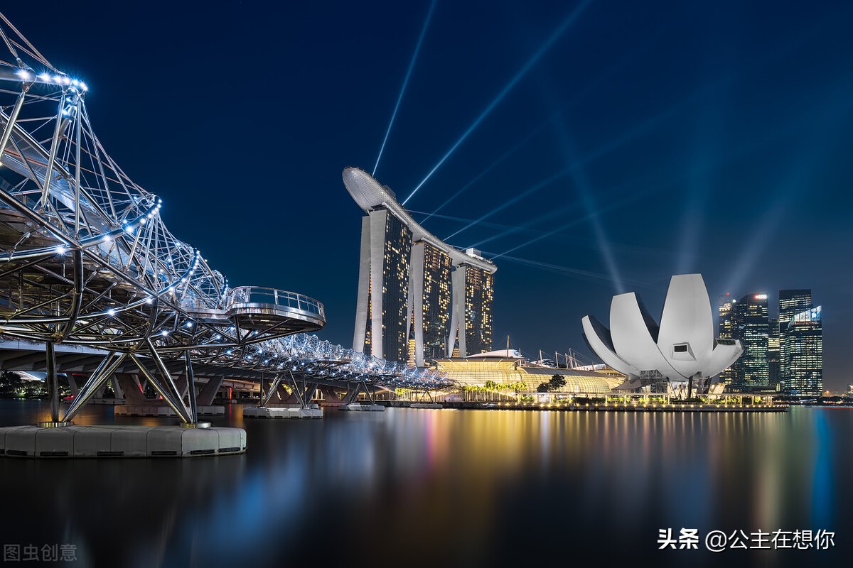 新加坡7个冷知识英文,世界上养猫最多的国家