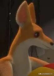 熊出没最厉害的角色,熊出没历代角色大全