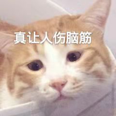 身体虚胖肉松怎样调理,肉松虚胖怎么锻炼