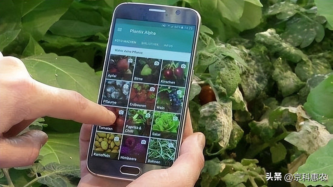 农业人工智能的项目还有哪些空白,农业ai方面的技术发展