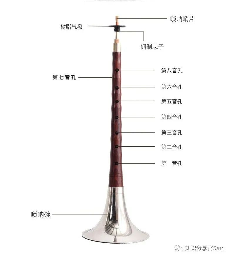学音乐乐器的基础入门教程,音乐爱好者学的简单乐器