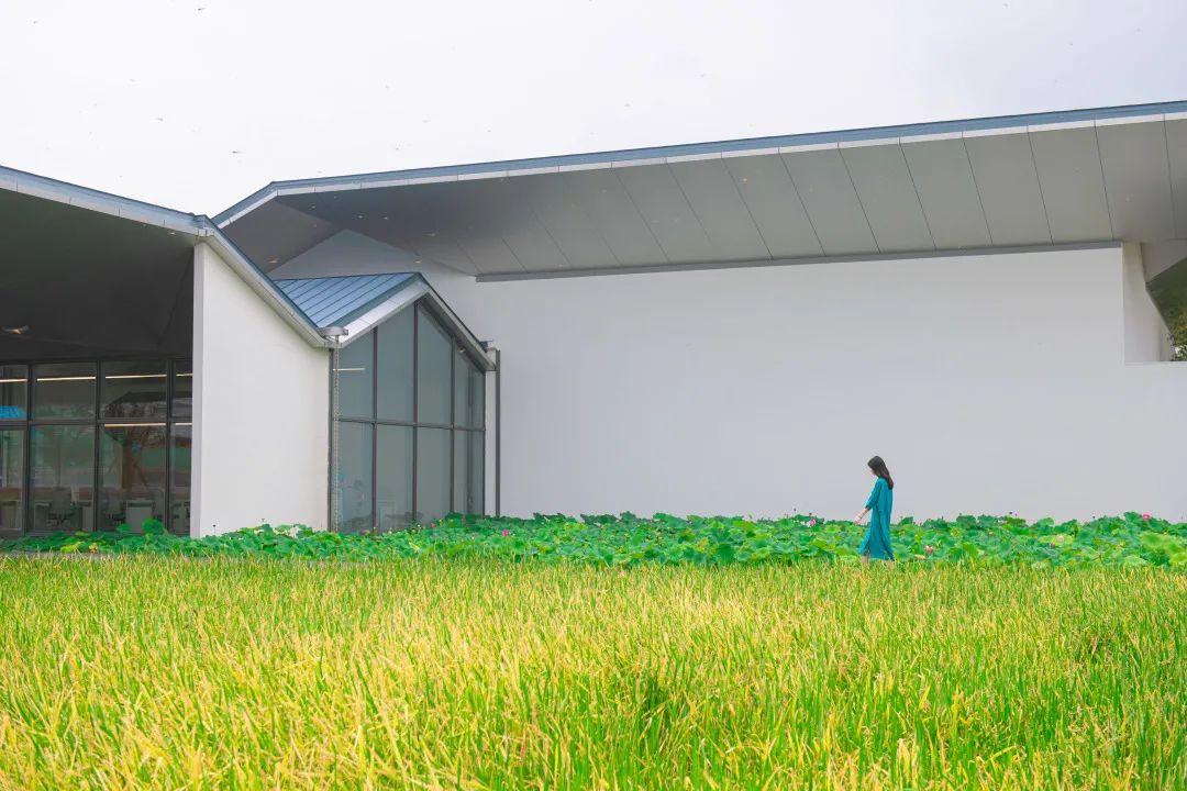 淄博旅行打卡,去淄博一日游必去打卡的美食地点