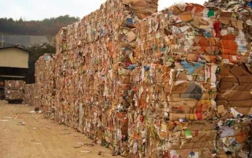 中国第一位女首富的人生,中国80年代第一女首富