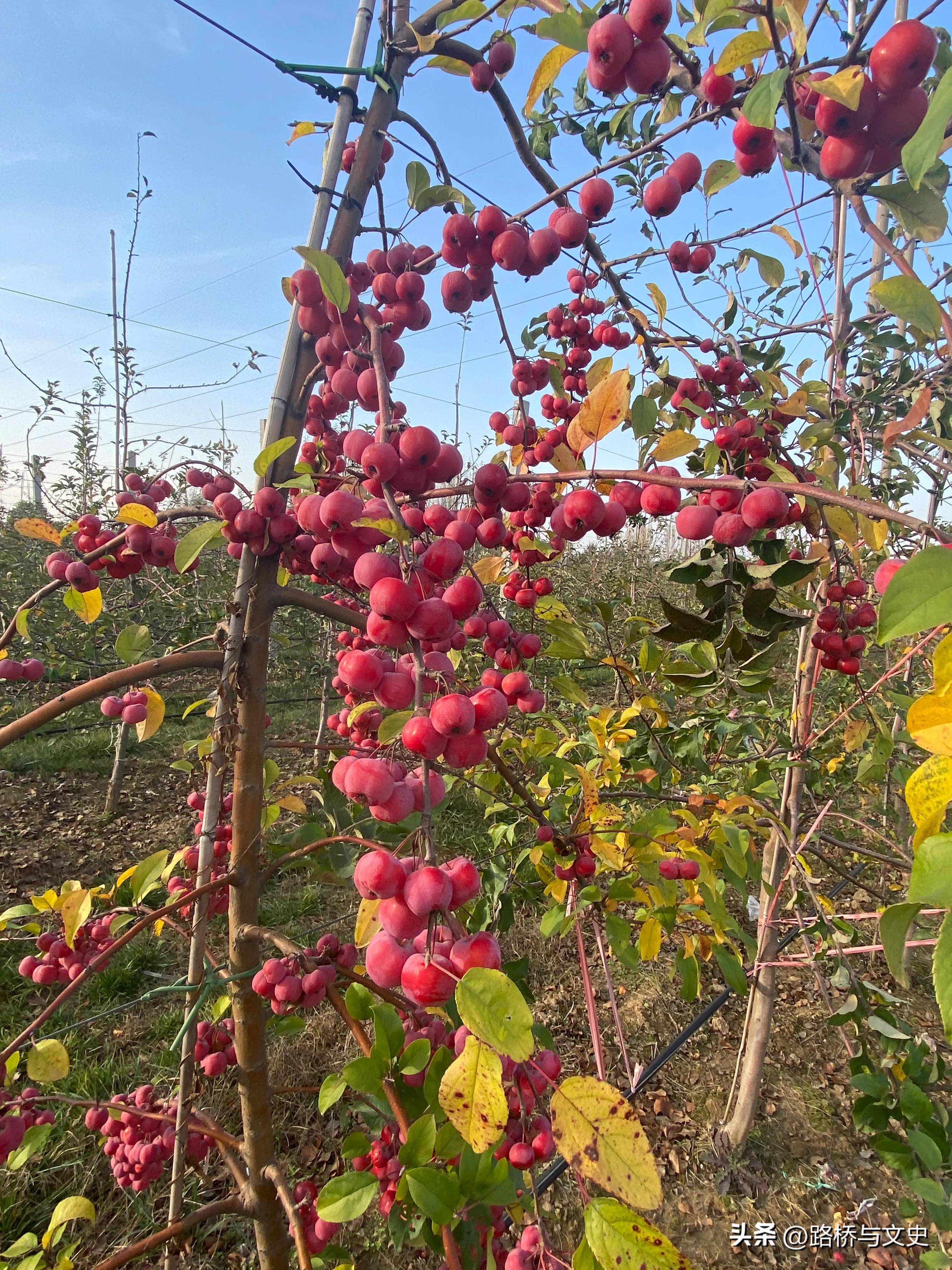 二级建造师工程竣工资料移交,工程竣工后多久移交竣工资料