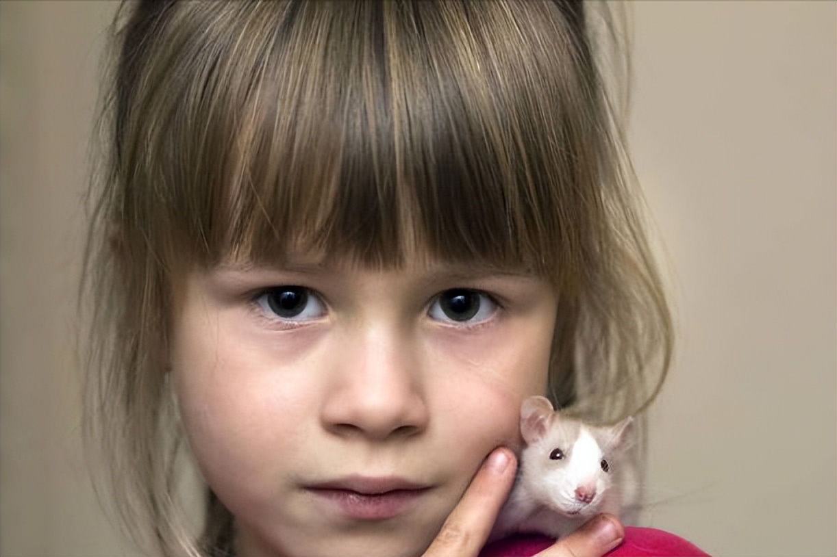 为了研究*行为性**，奇葩科学家们都做了哪些实验？有些实验毫无底线