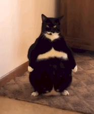 伴娘抢了新娘风头躲角落,伴娘躲在角落玩手机很漂亮