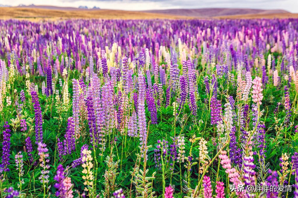 一个人最大的破产是失望,为什么说最大的破产是绝望