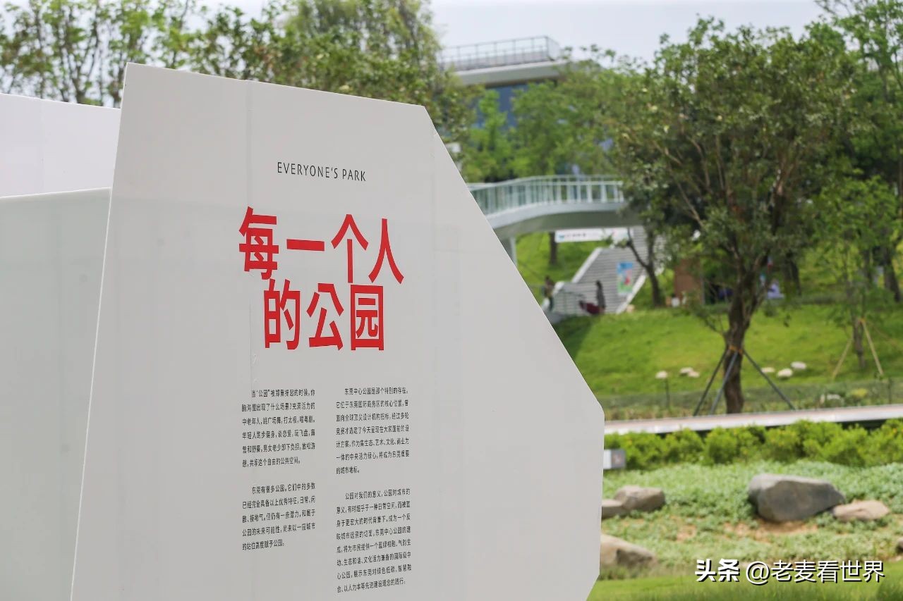 打卡公园东莞游玩攻略,东莞森林公园攻略