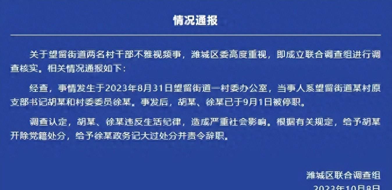 村干部事件最新消息,村干部真实事件