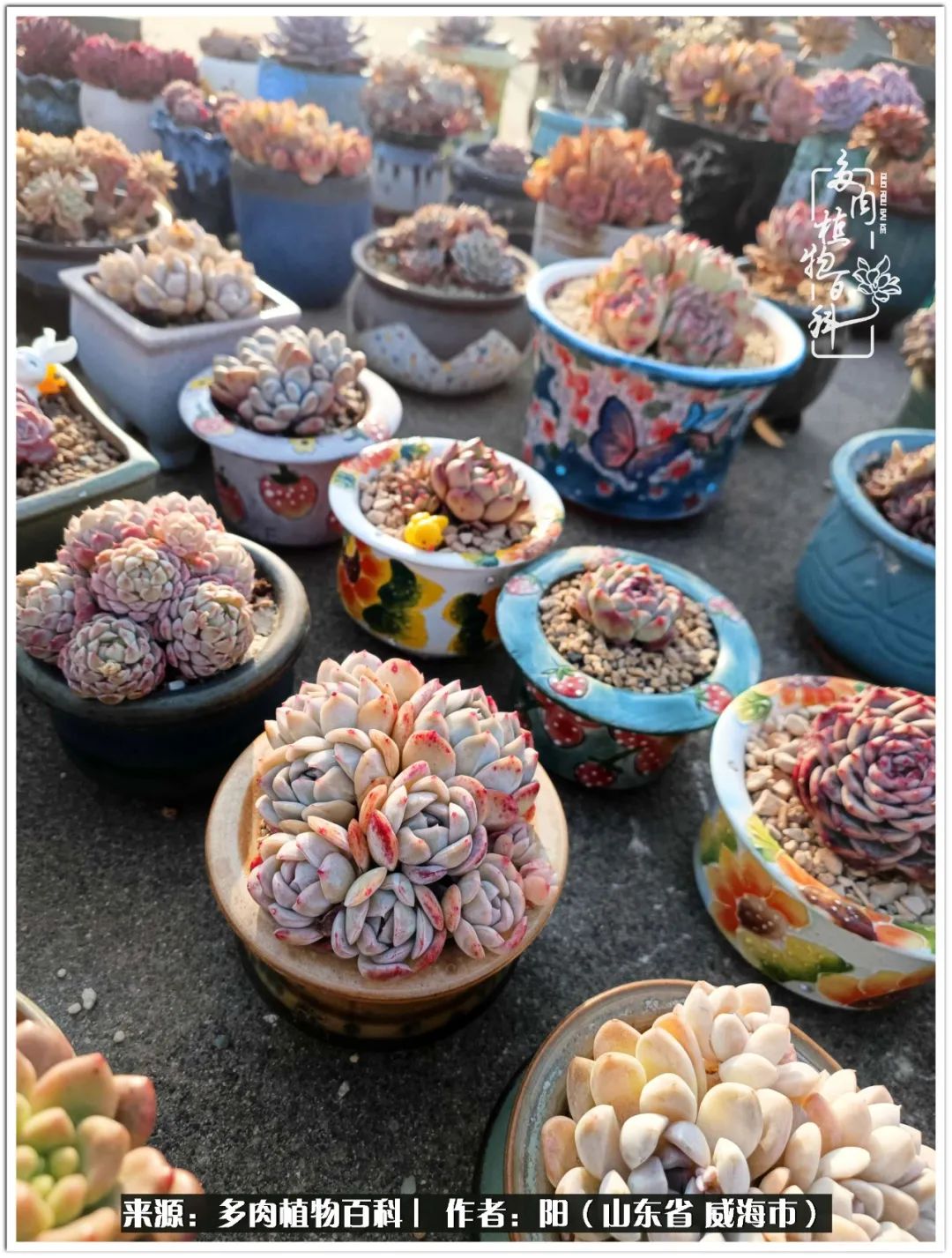 浜洪棿鐑熺伀鑷湁涓囧崈棰滆壊,浜洪棿鐑熺伀鐨嗘槸骞冲嚒棰滆壊