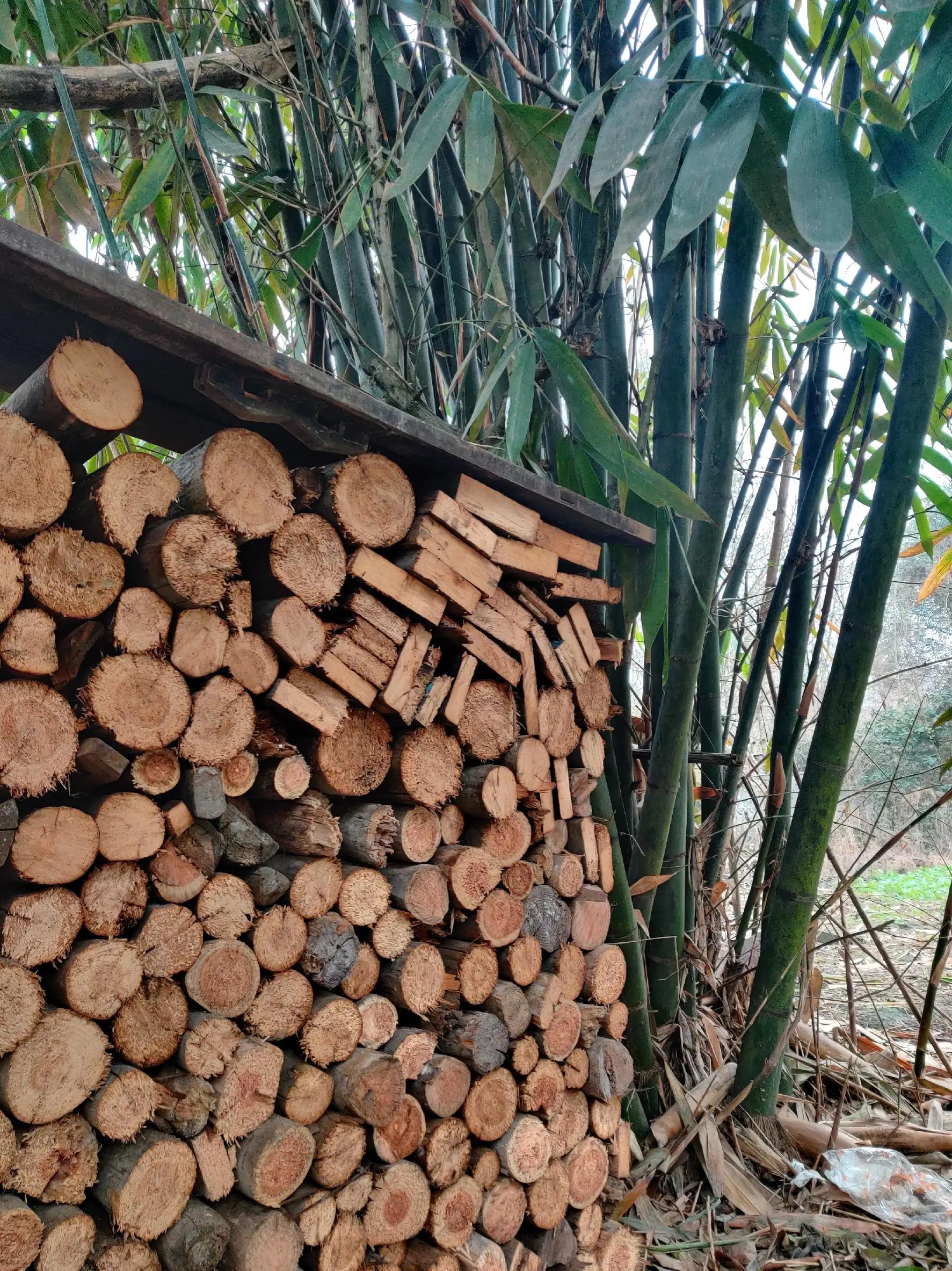 美味柴火鸡铁锅炖,美味柴火鸡汤