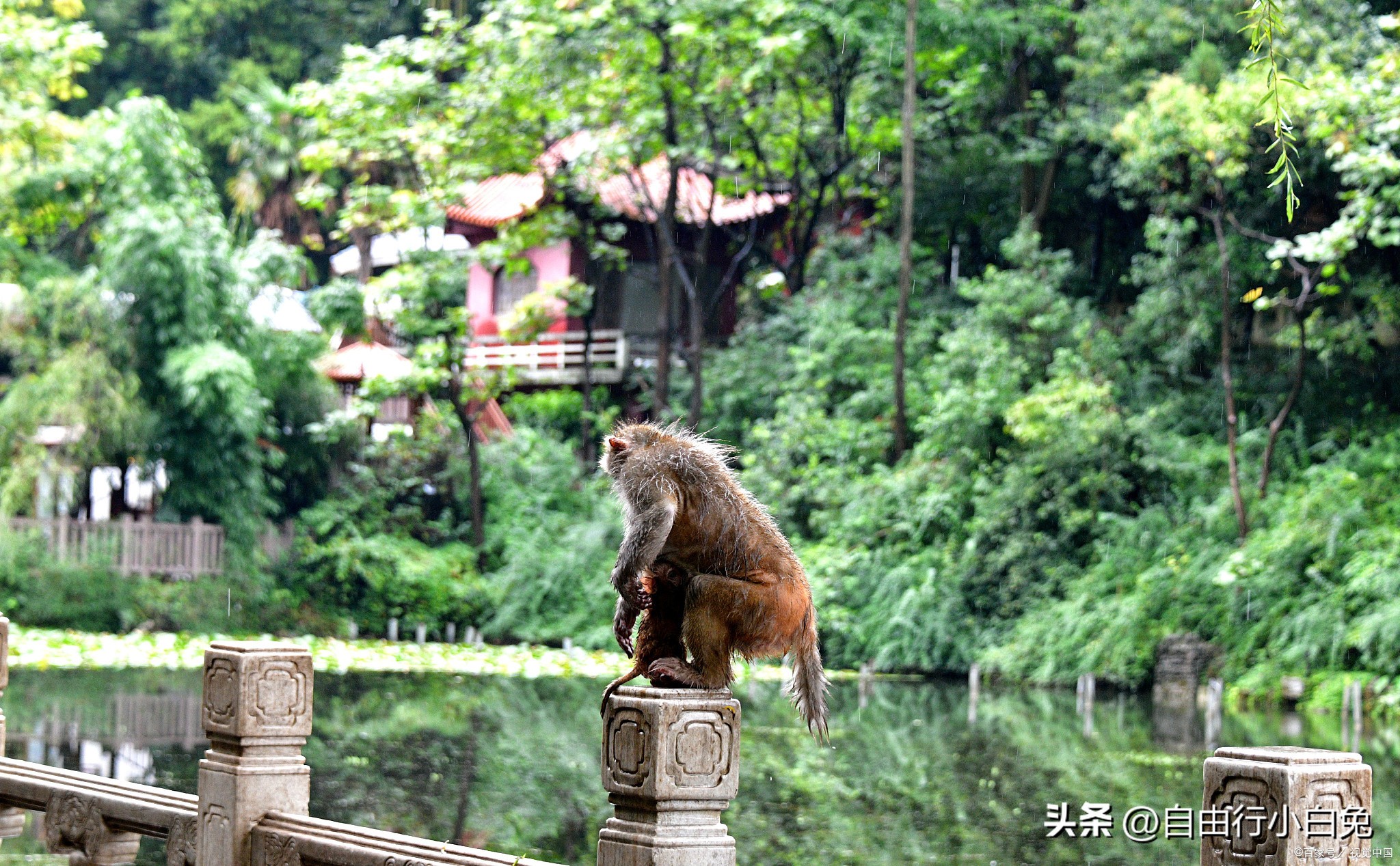 贵阳自由行旅行攻略,贵阳自由行最佳攻略
