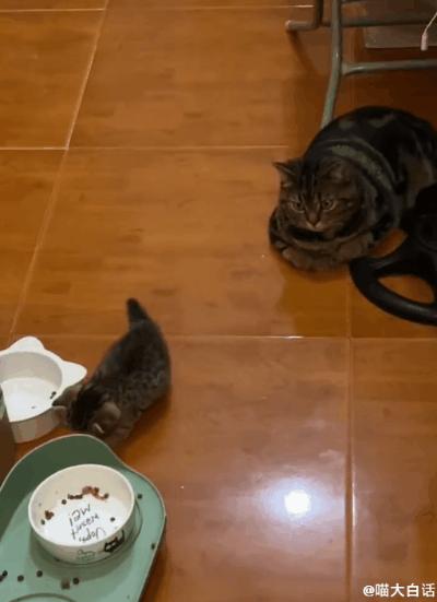 背德文学啥意思,背德文学是什么