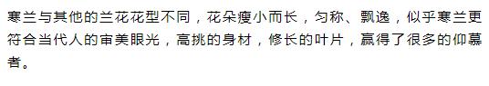 新手盆栽兰花最好选择哪些品种,适合家养的兰花品种有哪些盆栽