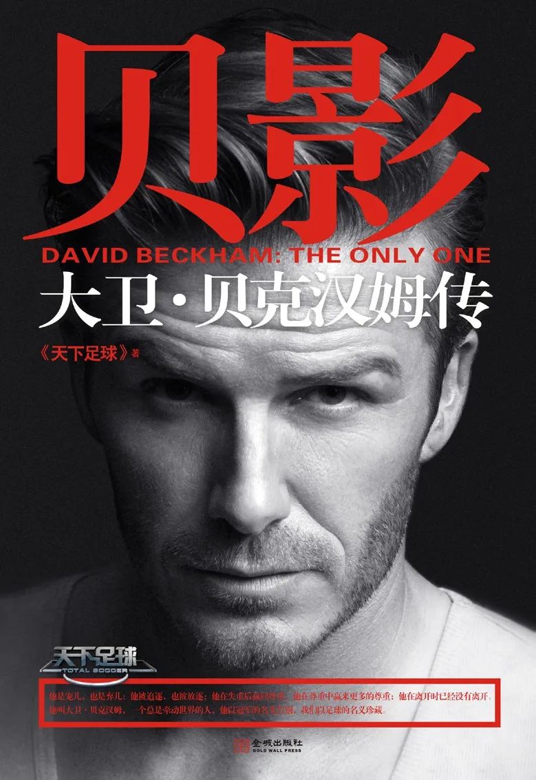 足球书籍关于各个球星传记,豆瓣读书500本
