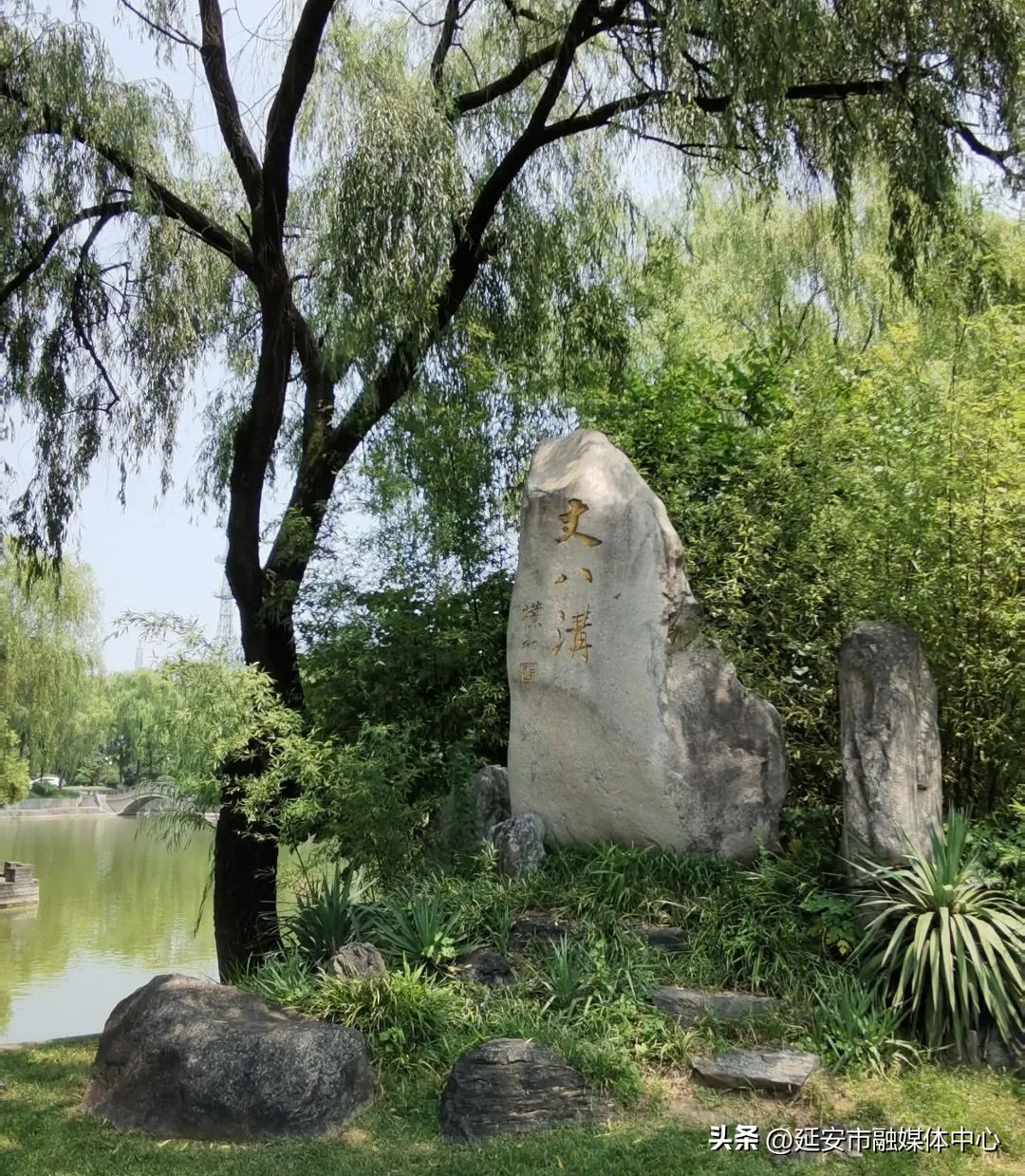 陕西宾馆迎来最佳观花赏景季节,陕西宾馆内景色