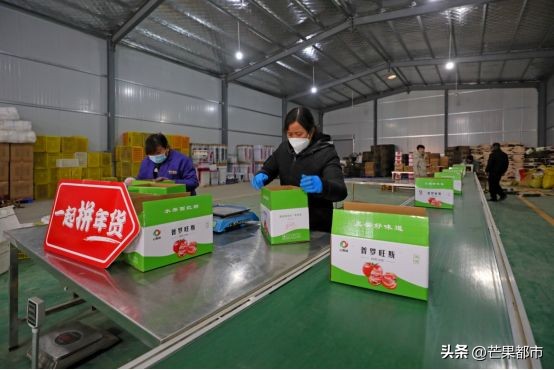 泾阳普罗旺斯沙瓤西红柿销量第一,陕西泾阳普罗旺斯沙瓤西红柿