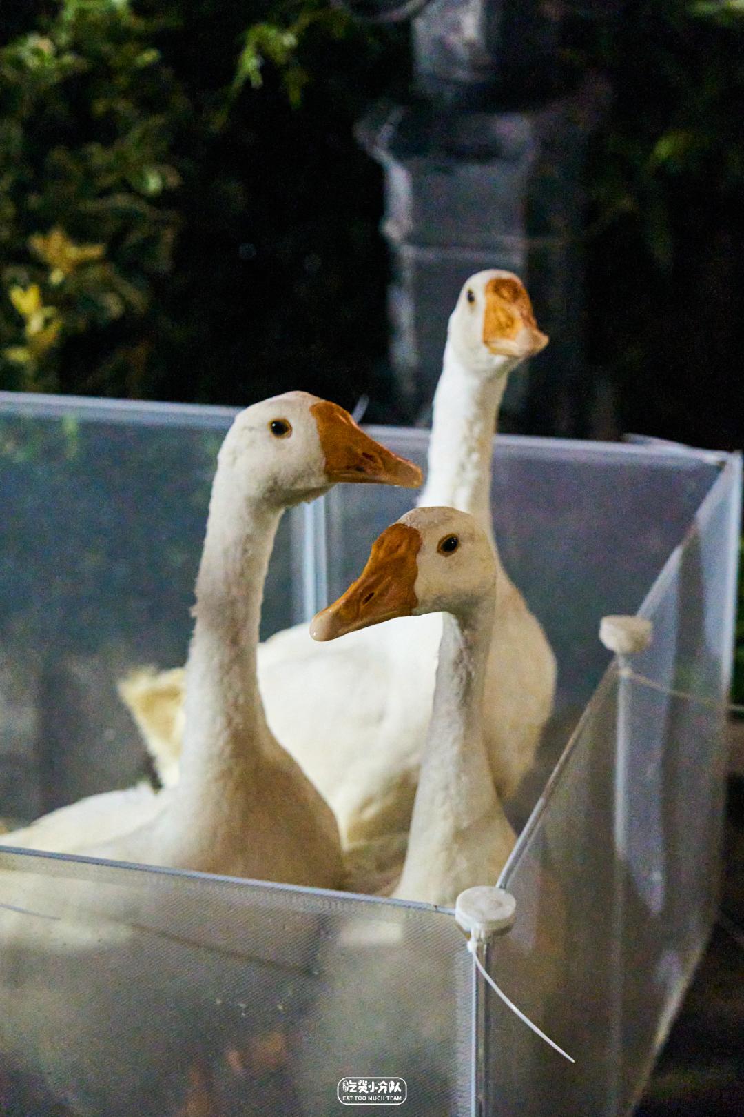 上海夜市全攻略,上海夜市汇总