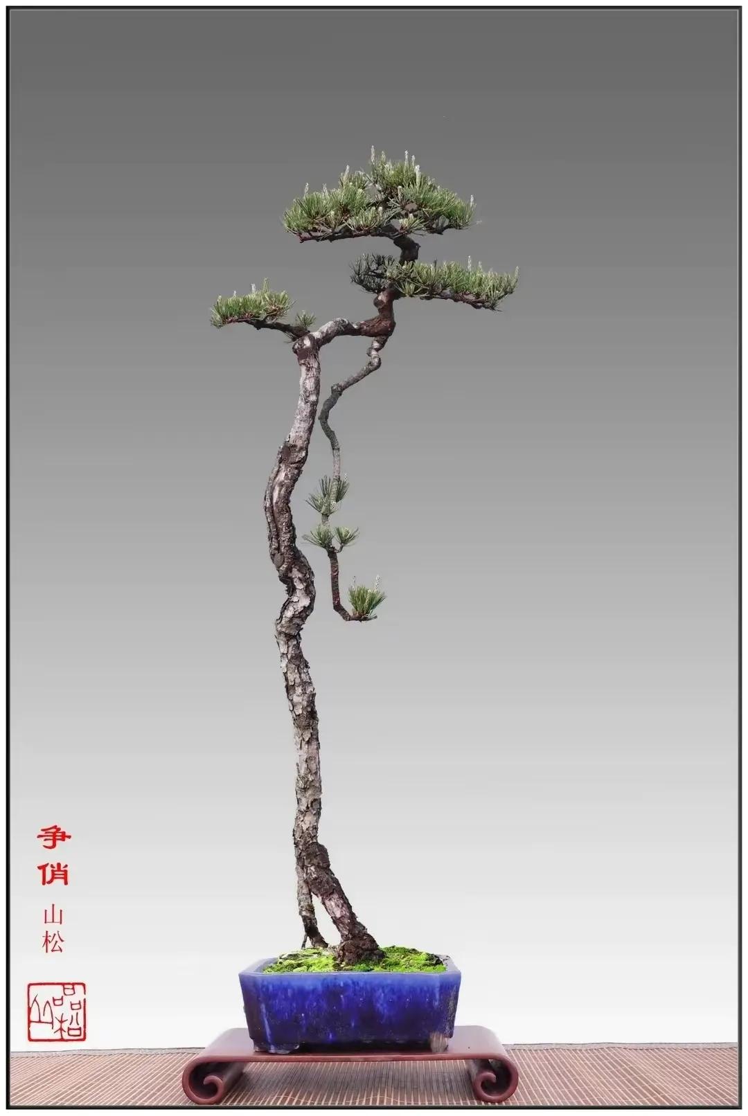 烟草和彩票哪个年收入高,草烟是智商税吗