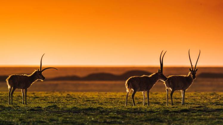 坐火车穷游中国的最美线路,走遍中国最美的地方图片