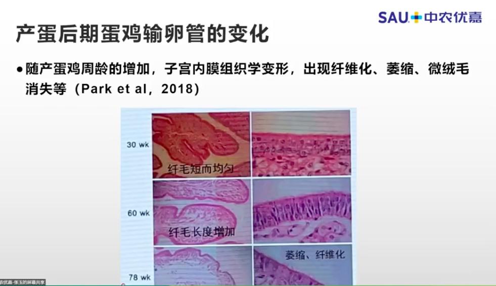 中农优嘉饲料好在哪方面,中农优嘉预混料质量怎么样