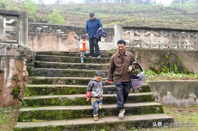 农村经济发展前后对比图,农村经济现状