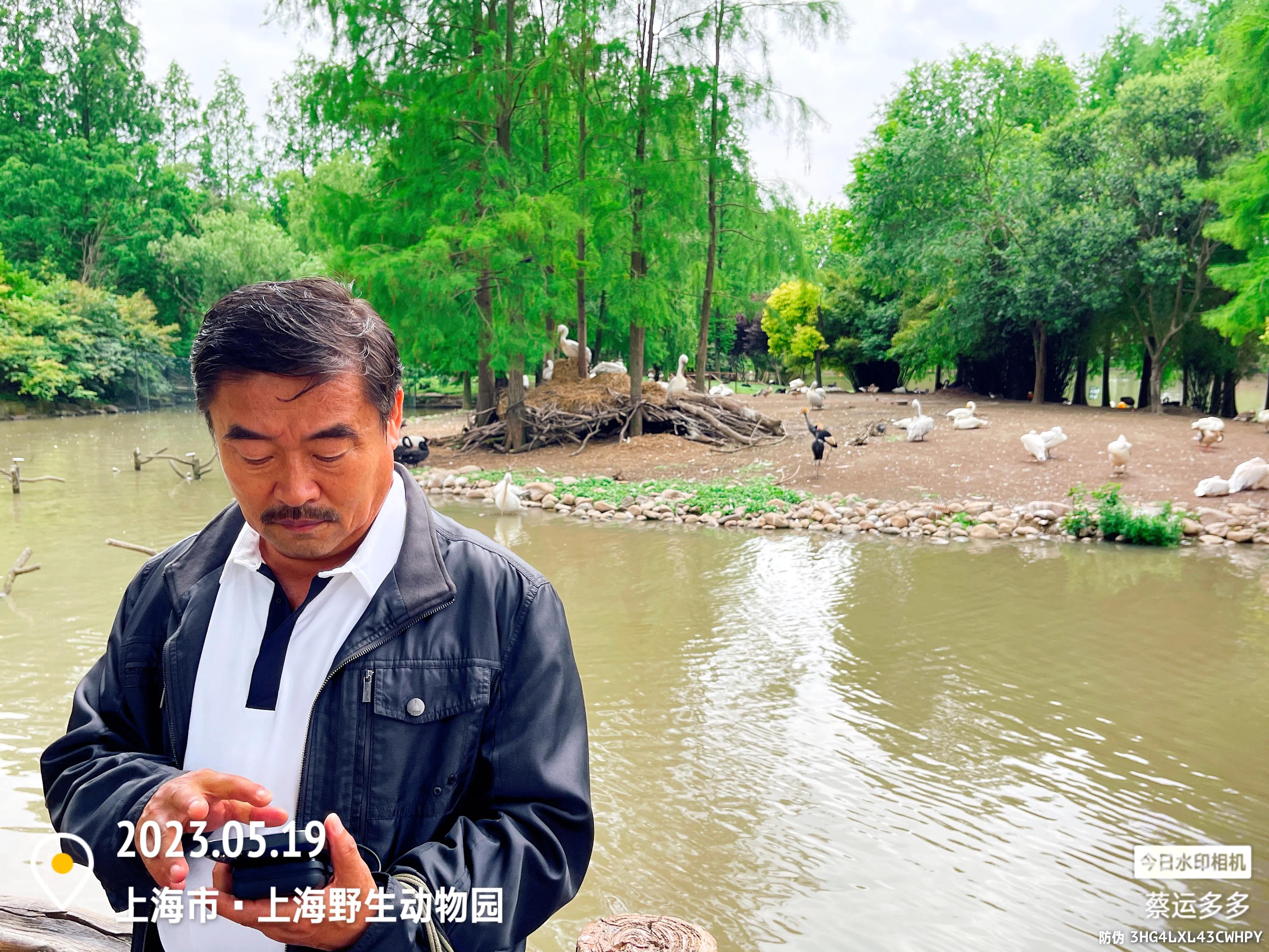 我喜爱的动物是小猫,什么动物招人喜爱