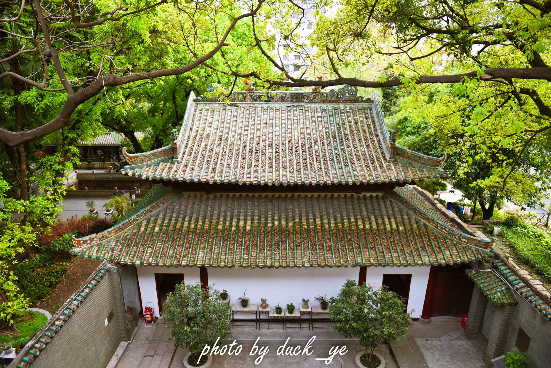 广州闹市古寺,广州闹市中的古建筑