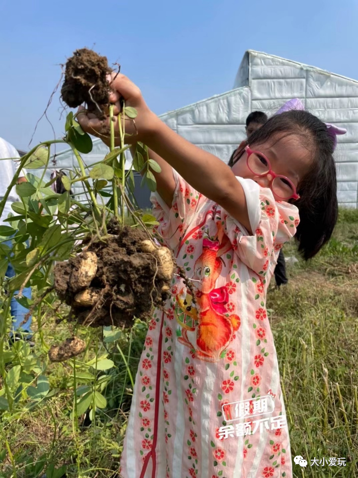 超全北京游玩攻略,国庆京郊一日游