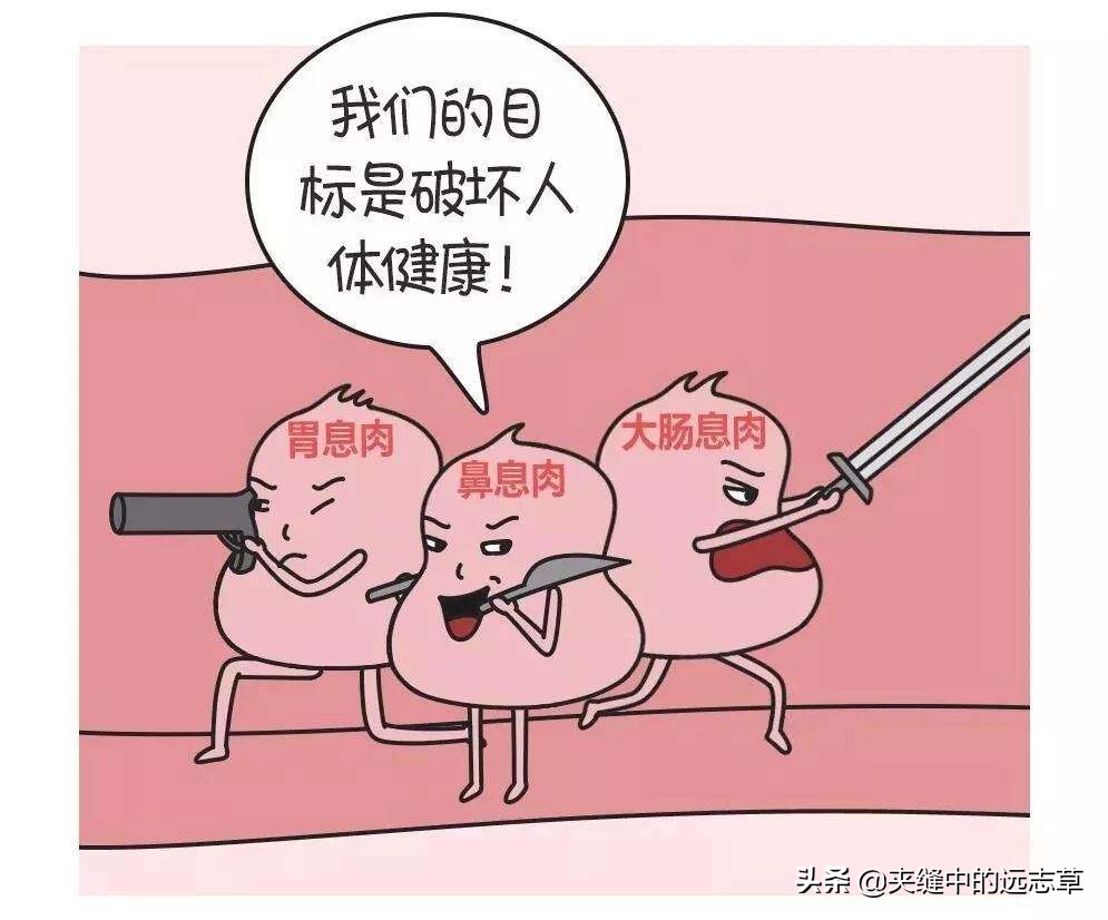 专治息肉的四味药组方,中医四味药消除大部分息肉