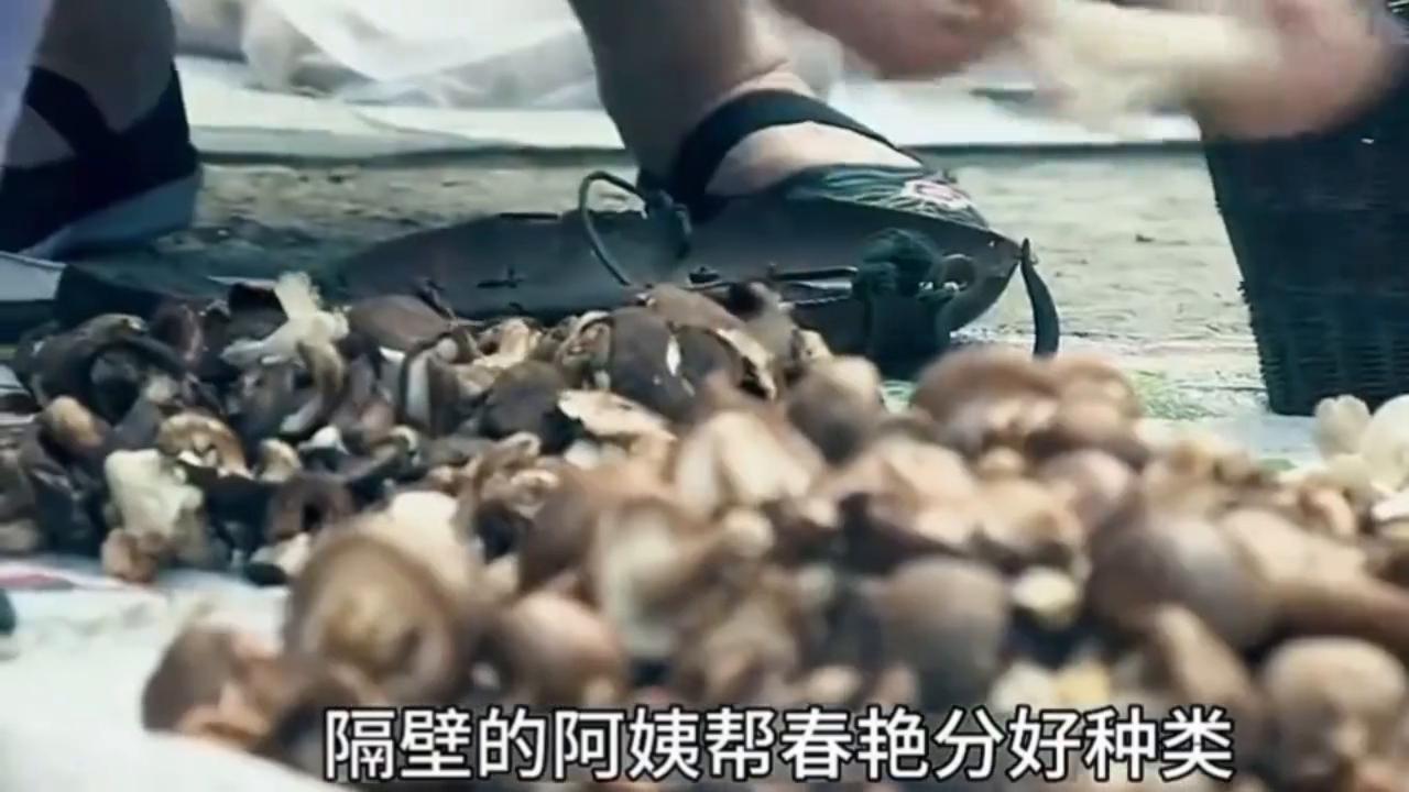 妈妈你走了我怎么办,妈妈你走了我们怎么办