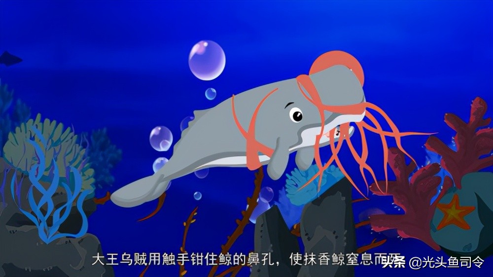 深海巨妖和北海巨妖,蓝鲸和北海巨妖谁更大