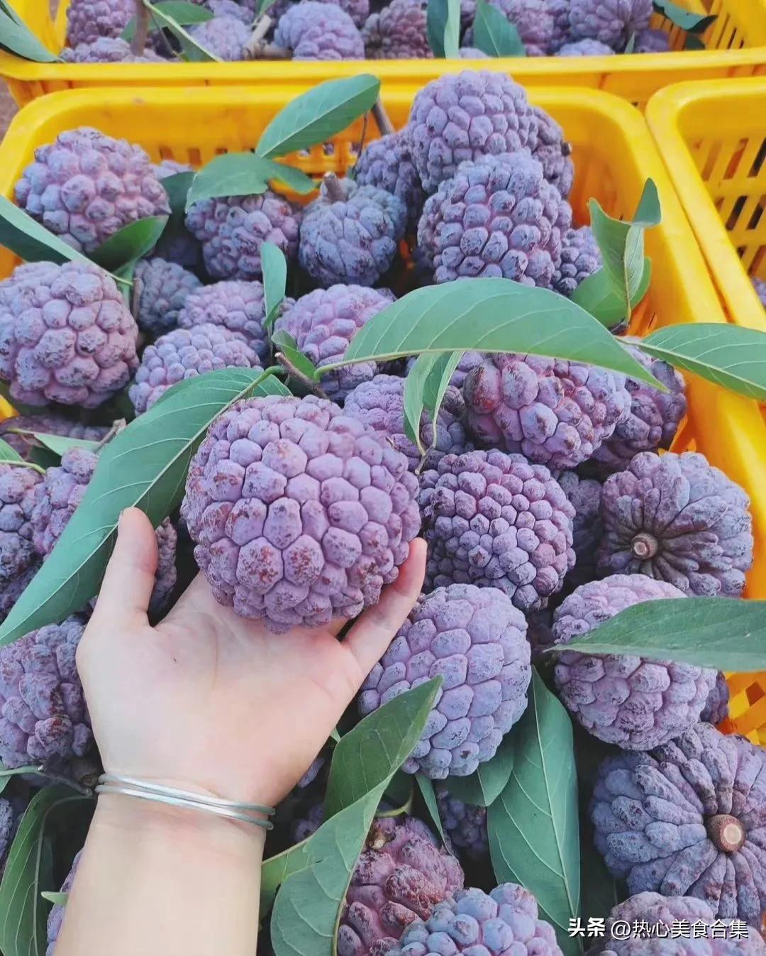 奇葩水果开箱合集,这些奇葩水果你见过吗