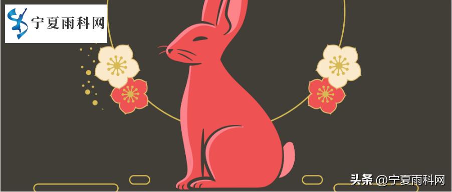 兔年春节营销方案,兔年的元旦营销方案