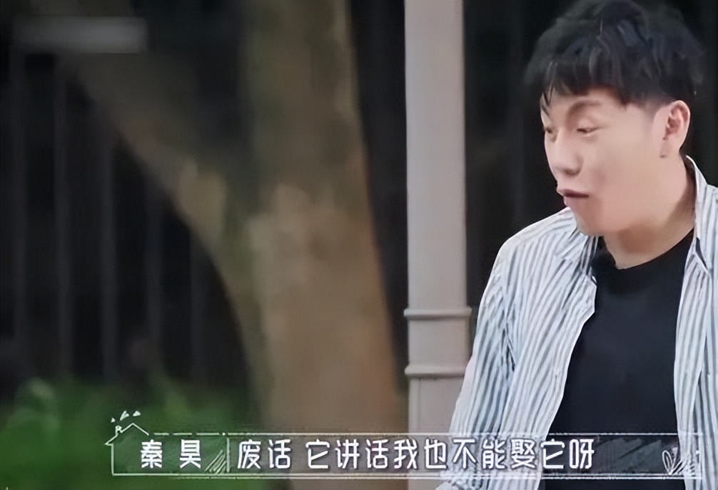 占据中国影视圈半壁江山的“东北帮”，到底有多牛?