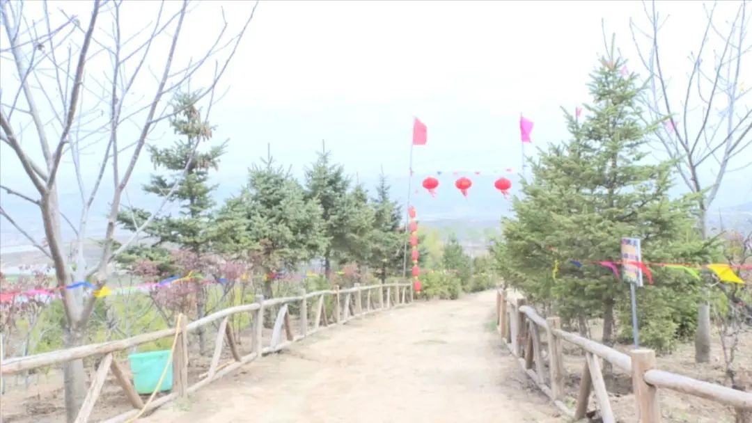 龙泉山庄好景色,陇西碧岩龙泉山庄