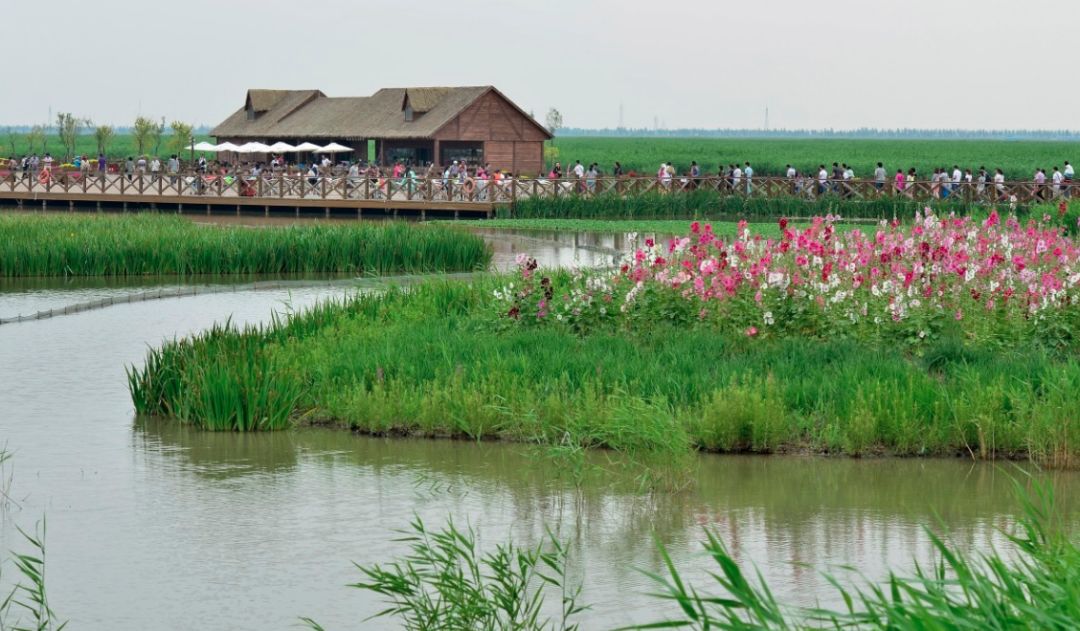 天津周边可生火的露营地,私藏天津小众露营地