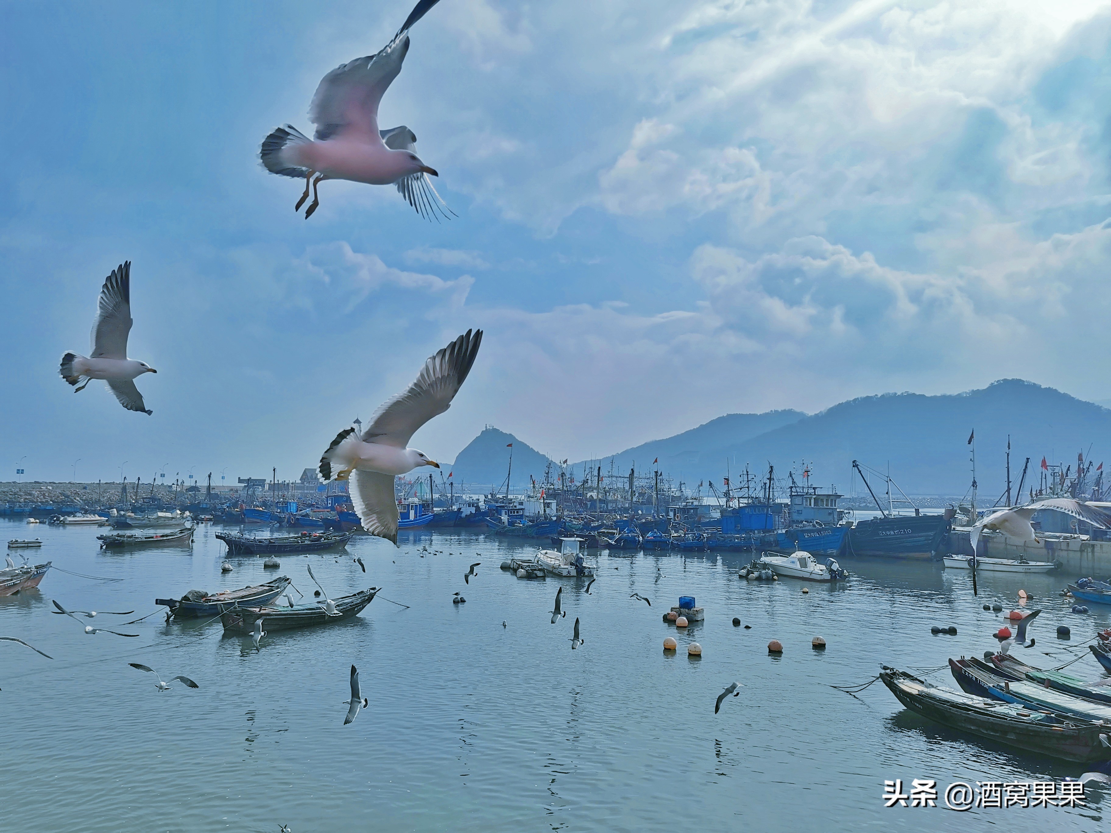 大连大学毕业有多少人留在大连,毕业留大连好吗