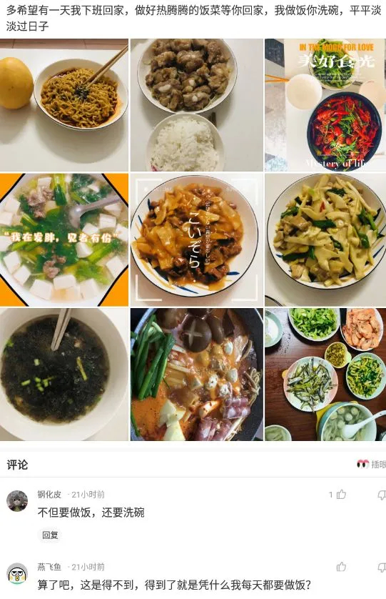 为什么鳄龟长大了背甲会变,鳄龟为什么养的背甲很大