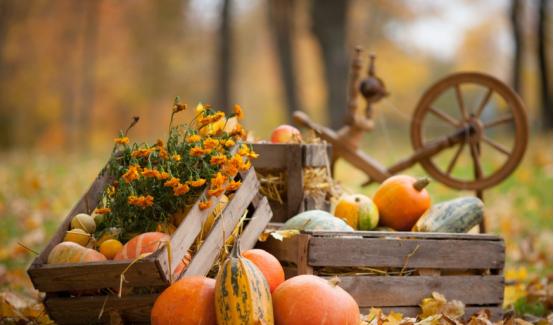 湿寒体质喝什么茶秋天喝好,秋天干燥喝六大类茶哪个好