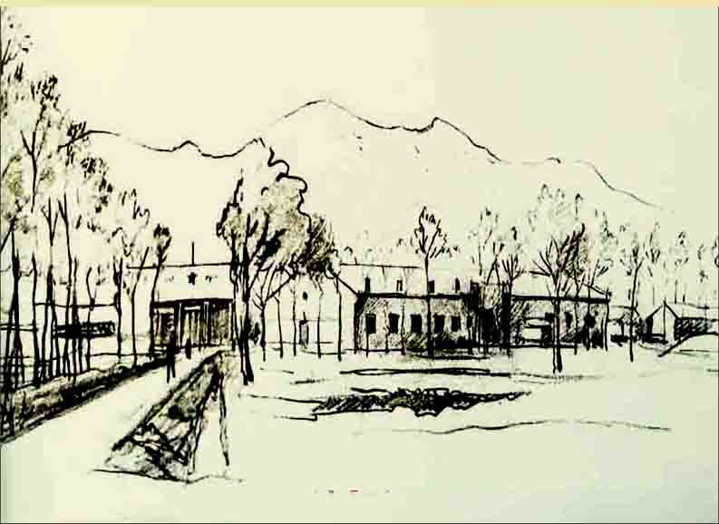 知青梦小说,知青梦小说在线阅读