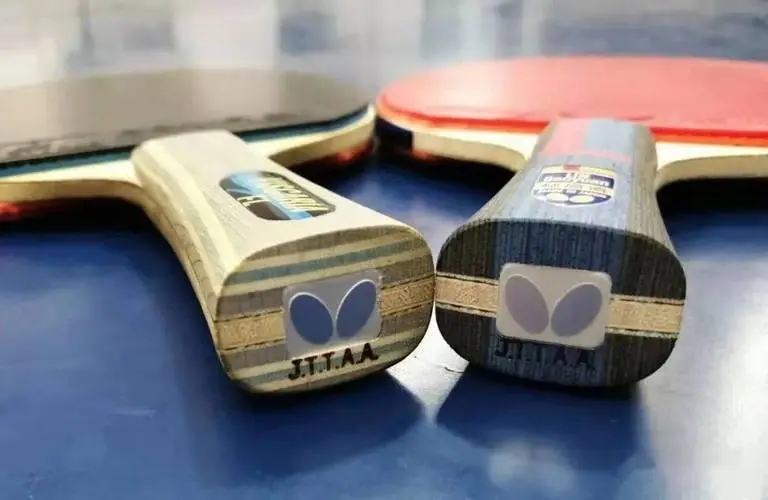 2024世界乒乓球女子单打,世界乒坛最强阵容