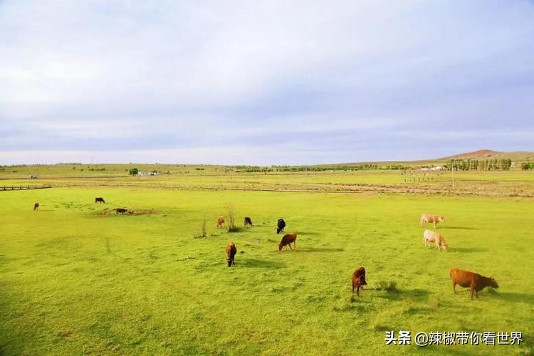 壮美内蒙古鄂尔多斯,内蒙古鄂尔多斯风景