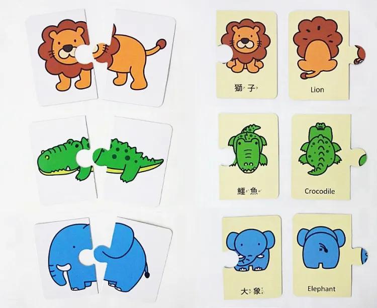 感统是什么主要包括哪五个方面,感统是什么课程